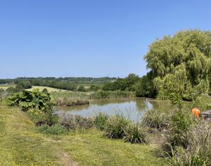 Photo 48- click for photo gallery